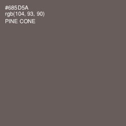 #685D5A - Pine Cone Color Image